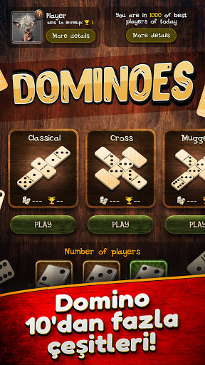 Domino ekran görüntüsü