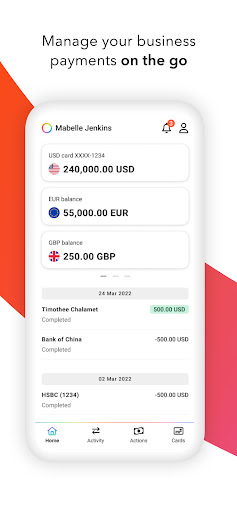 Payoneer ekran görüntüsü
