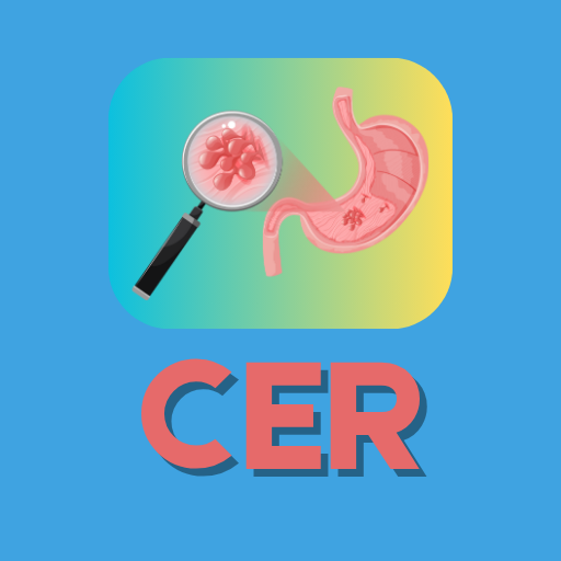 CER Practice Test
