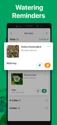PictureThis - Plant Identifier ekran görüntüsü