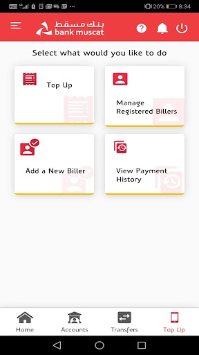 bm remit ekran görüntüsü