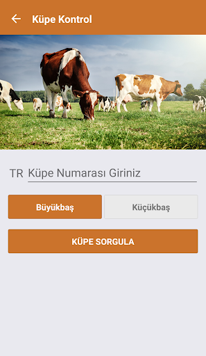 İBB Kurban ekran görüntüsü