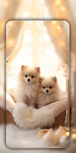 Dog Wallpaper & Cute Puppy 4K ekran görüntüsü