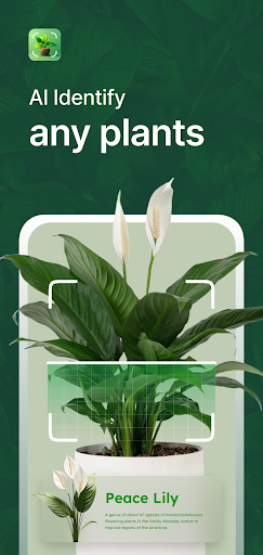 Plant Identifier AI Plant Care ekran görüntüsü