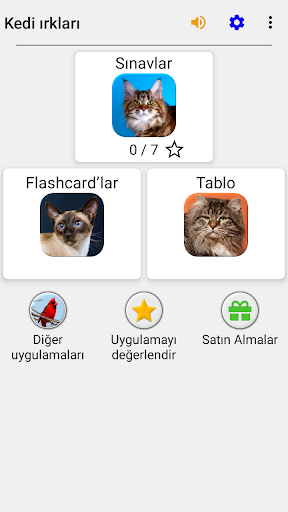 Kedi ırkları - Fotoğraf testi ekran görüntüsü