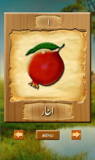 LEARN URDU ekran görüntüsü