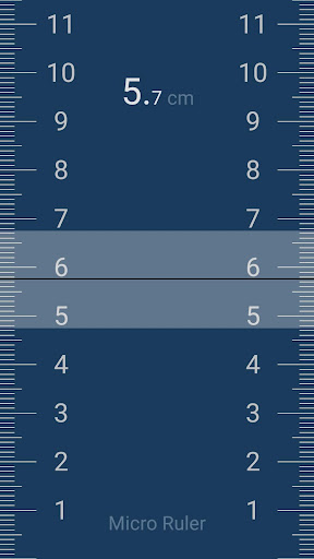 Micro Ruler ekran görüntüsü