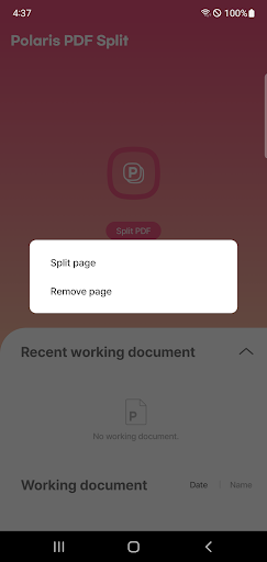 Polaris PDF Split ekran görüntüsü