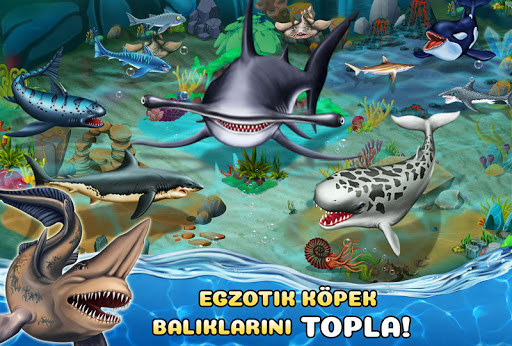 Shark World ekran görüntüsü
