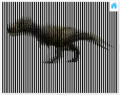 illusion animation scanner - a ekran görüntüsü