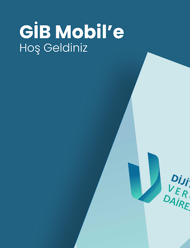 GİB ekran görüntüsü