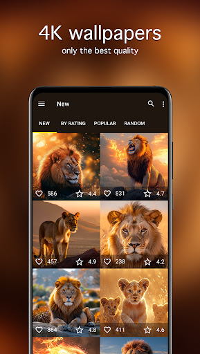 Lion Wallpapers 4K ekran görüntüsü