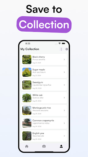 TreeID - Tree Identifier ekran görüntüsü