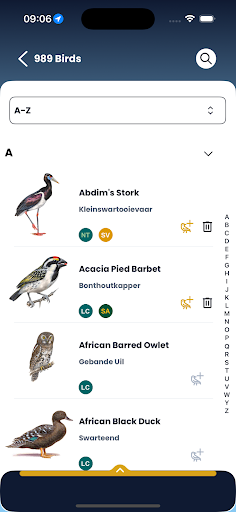 Roberts Birds ekran görüntüsü