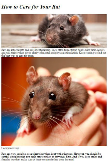 Pet Rat Care Guide ekran görüntüsü