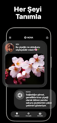 Yapay Zeka Chatbot - Nova AI ekran görüntüsü