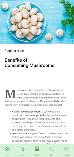 Mushroom Identifier by Picture ekran görüntüsü
