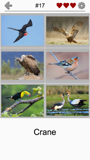 Bird World - Famous Birds Quiz ekran görüntüsü