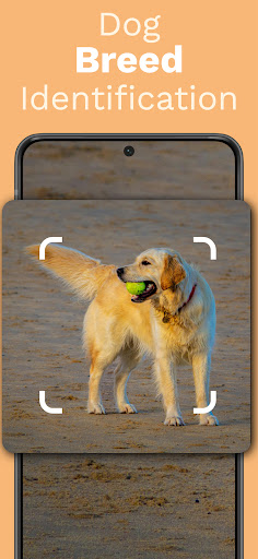 Dog Identifier - Scan with AI ekran görüntüsü