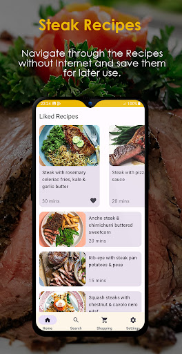 Steak Recipes Offline ekran görüntüsü