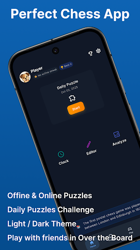 Chess - Puzzles Offline ekran görüntüsü