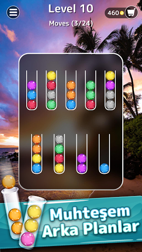 Ballscapes Renkli Toplar Oyunu ekran görüntüsü