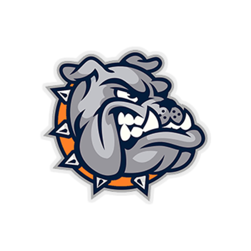 Summerfield School District