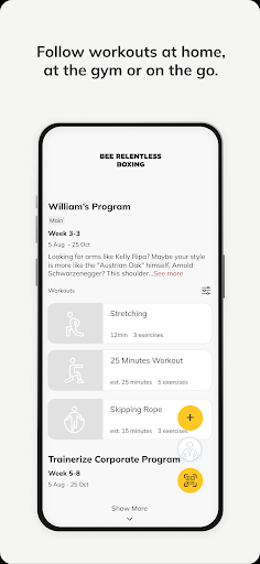 Bee Relentless Boxing ekran görüntüsü