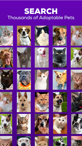 Petfinder - Adopt a Pet ekran görüntüsü