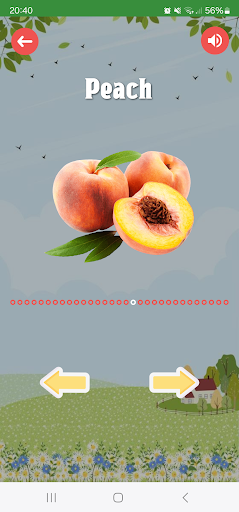 Fruits and Vegetables ekran görüntüsü