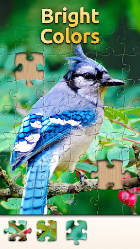 Vita Jigsaw for Seniors ekran görüntüsü