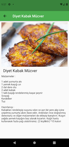 Diyet Yemekleri ekran görüntüsü