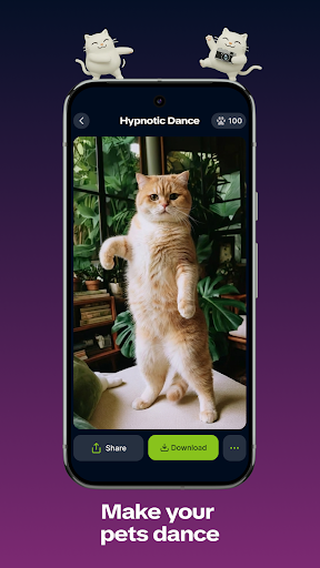 Syncat by Zedge: Funny Videos ekran görüntüsü