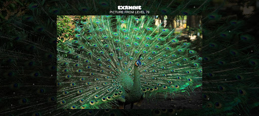 XPicture LF ekran görüntüsü