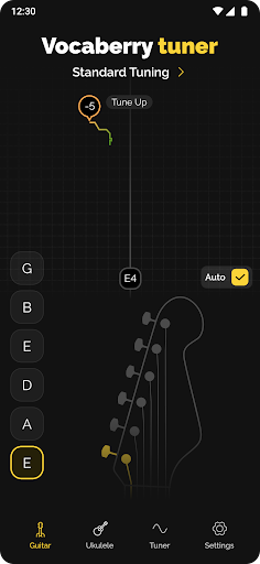 Vocaberry Gitar Akort ekran görüntüsü