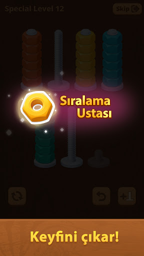 Nuts Sort Journey ekran görüntüsü
