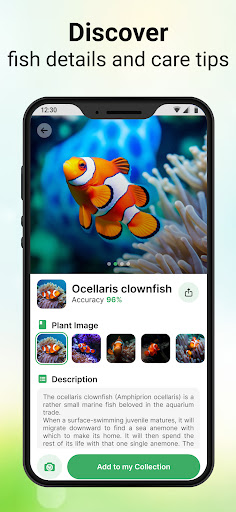 AI Plant & Fish Identifier App ekran görüntüsü