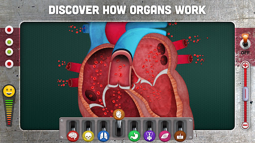 How does The Human Body Work? ekran görüntüsü