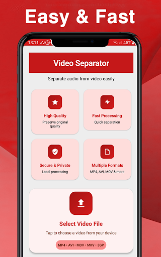 Video Audio Separator ekran görüntüsü