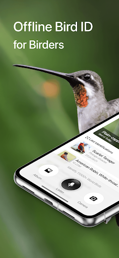 Aboutbirds ekran görüntüsü