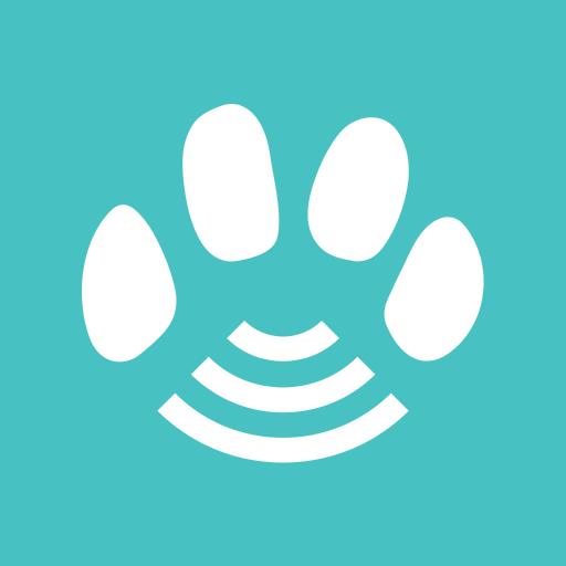 Danielle MacKinnon App