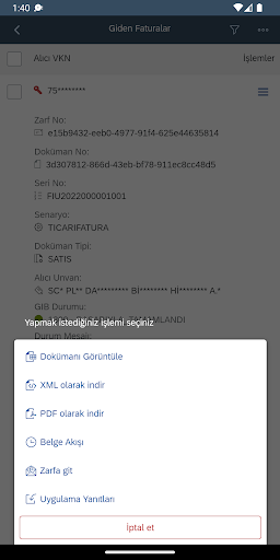 Detay e-Dönüşüm Portal ekran görüntüsü