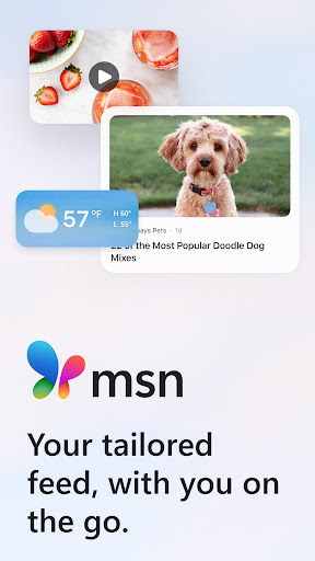 MSN ekran görüntüsü