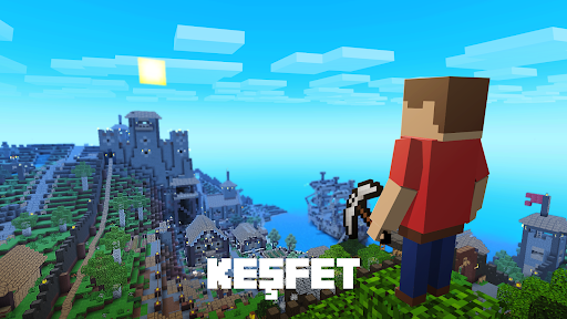 Block World 3D: El İşi & İnşa ekran görüntüsü