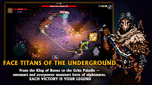 Pocket Rogues ekran görüntüsü