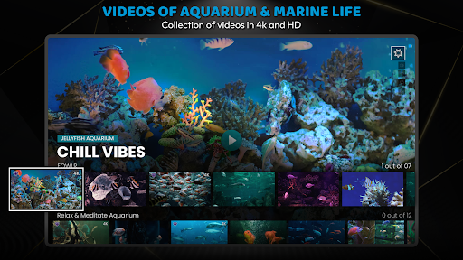 Jellyfish Aquarium Screensaver ekran görüntüsü