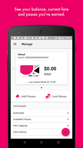 Flamingo Fares ekran görüntüsü