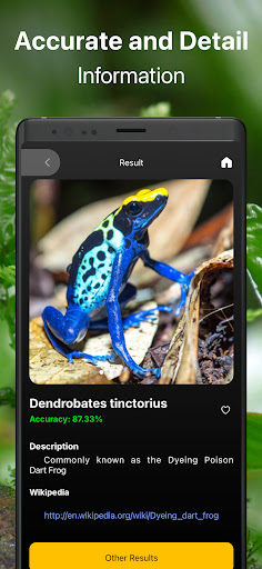 Frog Identifier Reptile ID ekran görüntüsü