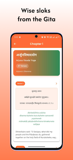 Bhagavad Gita: English & Hindi ekran görüntüsü