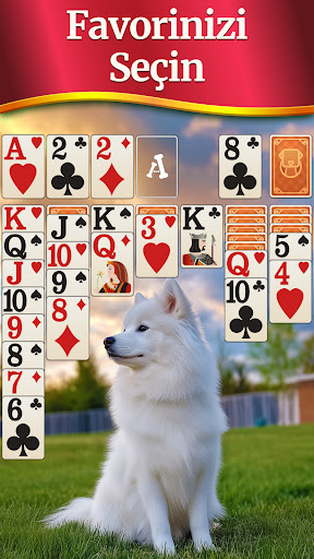 Solitaire - Kart Oyunları ekran görüntüsü